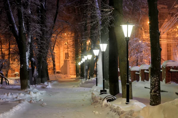 Зимовий парк вночі . — стокове фото