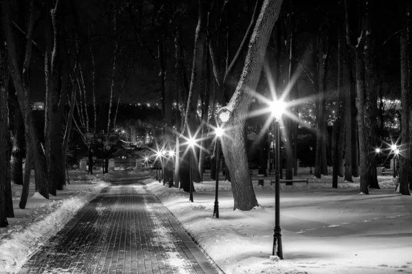 Winter park at night. Monochrome. — Stock Photo, Image