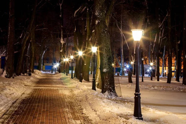 Winter park at night. — Stock Photo, Image