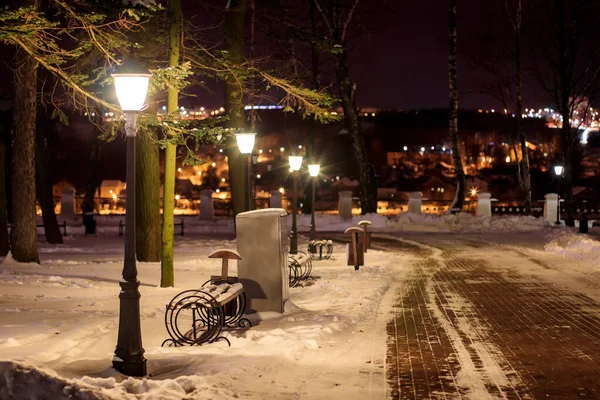 Parco invernale di notte . — Foto Stock