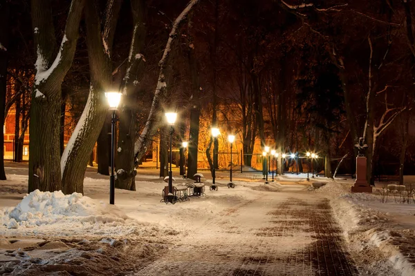 Winter park at night. — Stock Photo, Image