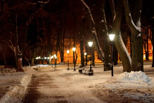 Parque de inverno à noite . — Fotografia de Stock