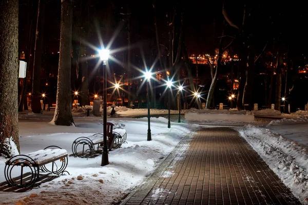 Parque de invierno por la noche . — Foto de Stock