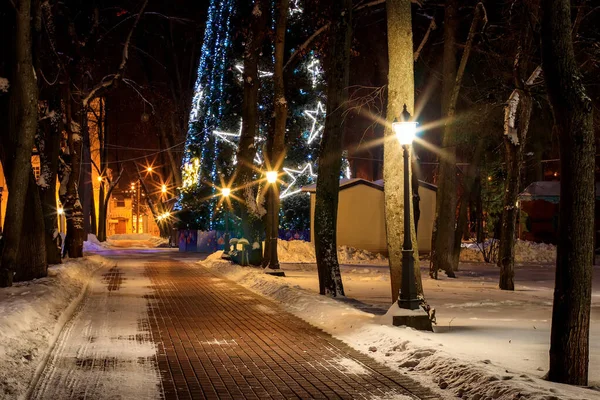 Winter park's nachts. — Stockfoto