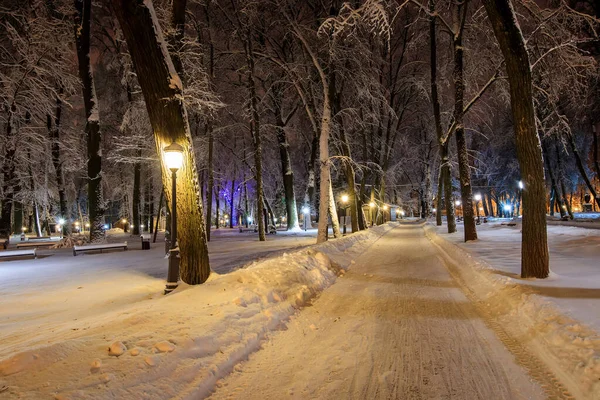 Procházka městem v noci v zimě. — Stock fotografie