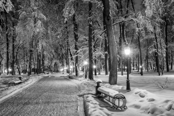 Spaziergang durch die Stadt bei Nacht im Winter. monochrom. — Stockfoto