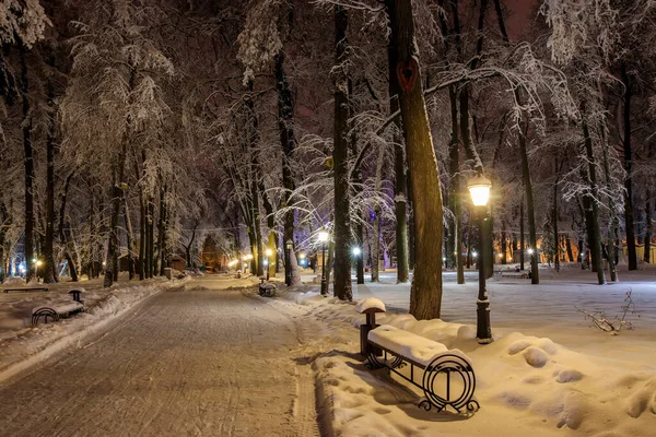 Walk of the city at night in winter. — Stock Photo, Image