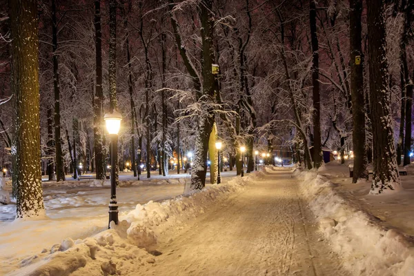 Paseo de la ciudad por la noche en invierno . — Foto de Stock