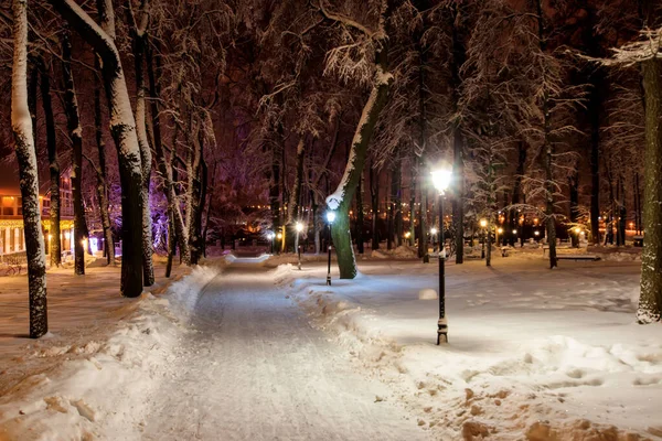 Прогулка по городу ночью зимой . — стоковое фото