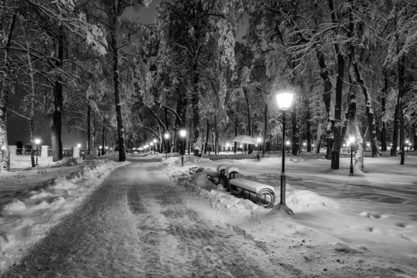Paseo de la ciudad por la noche en invierno. Monocromo . — Foto de Stock