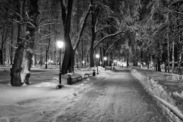 Walk of the city at night in winter. Monochrome. — Stock Photo, Image