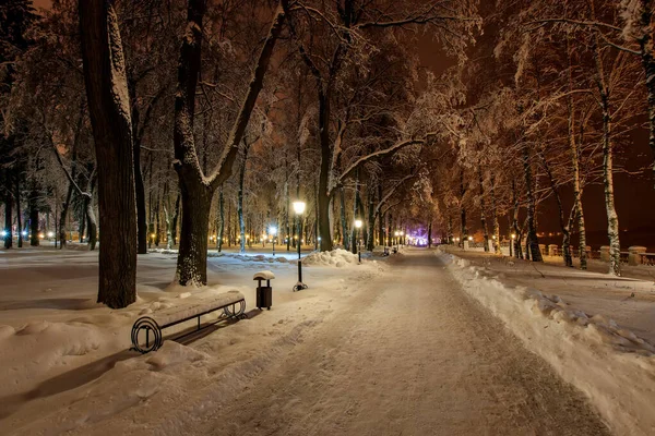Paseo de la ciudad por la noche en invierno . — Foto de Stock