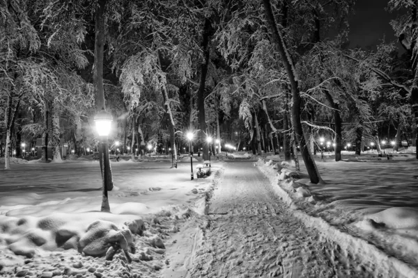 Paseo de la ciudad por la noche en invierno. Monocromo . — Foto de Stock