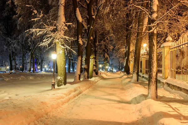 Caminhada da cidade à noite no inverno . — Fotografia de Stock