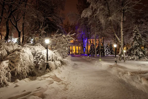 Прогулка по городу ночью зимой . — стоковое фото