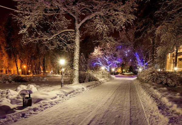 겨울에는 도시를 걸어 다닌다. — 스톡 사진