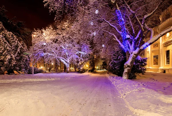 Caminhada da cidade à noite no inverno . — Fotografia de Stock