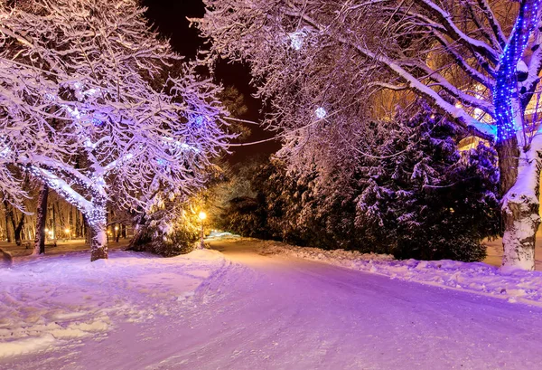 冬の夜に街を歩く. — ストック写真