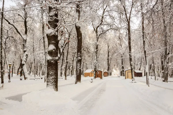 Winter park, a hóval borított fák. — Stock Fotó