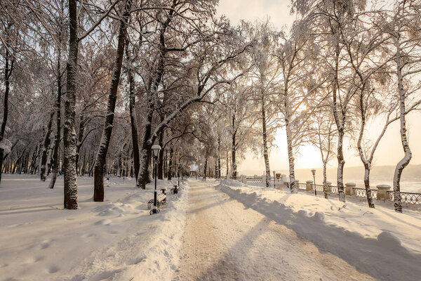 Winter park with trees covered with snow and ice and path on a sunny day. Landscape. Sunrise.