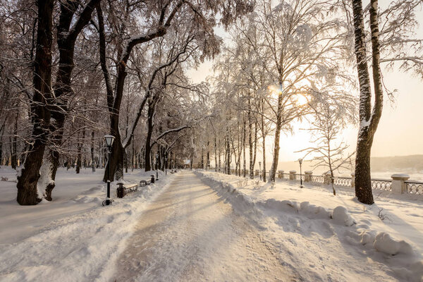 Winter park with trees covered with snow and ice and path on a sunny day. Landscape. Sunrise.