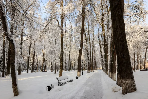 Winter park, a hóval borított fák. — Stock Fotó