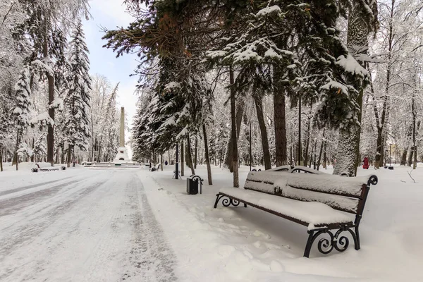 Winter park, a hóval borított fák. — Stock Fotó