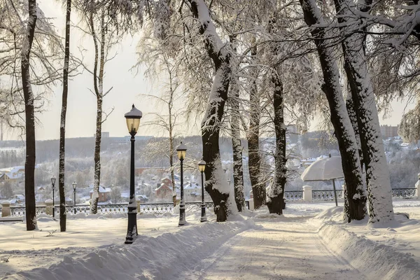 Зимний парк с деревьями, покрытыми снегом . — стоковое фото