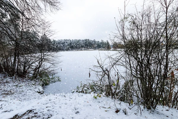 Étang recouvert de givre dans la forêt de pins . — Photo