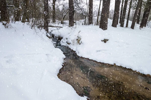 Fluxo na floresta de inverno . — Fotografia de Stock