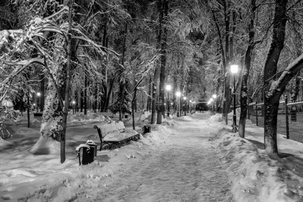 Winter park at night. Monochrome. — Stock Photo, Image