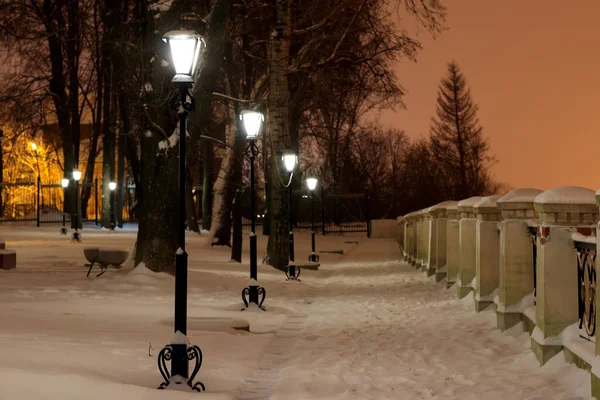 Parco invernale di notte . — Foto Stock