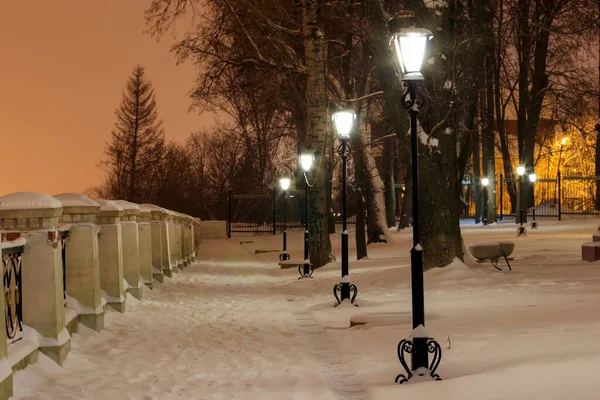 Parco invernale di notte . — Foto Stock