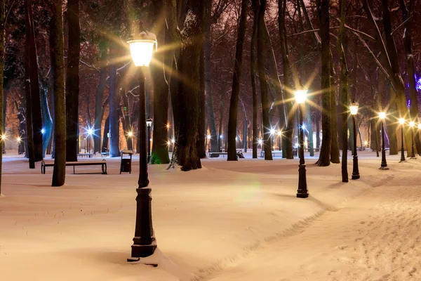 Winter park at night. — Stock Photo, Image