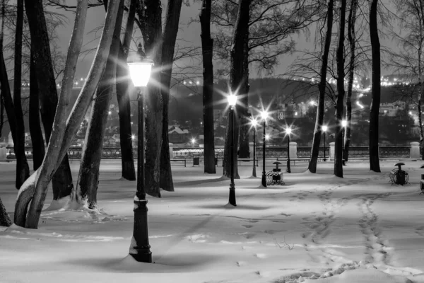 Parque de invierno por la noche. Monocromo . — Foto de Stock