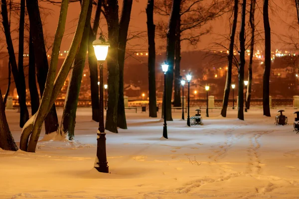 Parque de invierno por la noche . — Foto de Stock