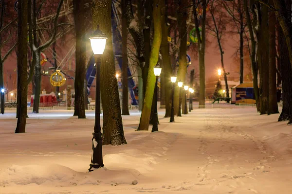 Winter park's nachts. — Stockfoto
