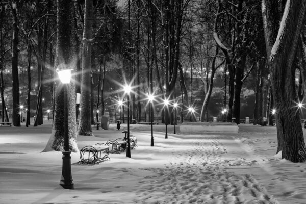Winter park at night with decorations, lights, benches and trees. Monochrome image.