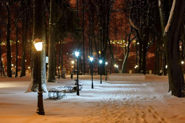 Winterpark bei Nacht. — Stockfoto