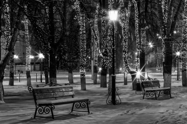 Winter park at night with decorations, lights, benches on foreground and trees. Monochrome image.