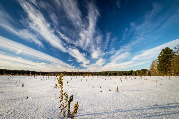 Belo pôr do sol no campo na temporada de inverno — Fotografia de Stock