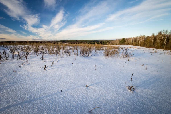 Belo pôr do sol no campo na temporada de inverno — Fotografia de Stock