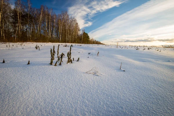 Belo pôr do sol no campo na temporada de inverno — Fotografia de Stock