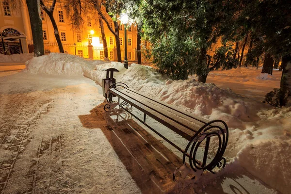 Parque de invierno por la noche — Foto de Stock
