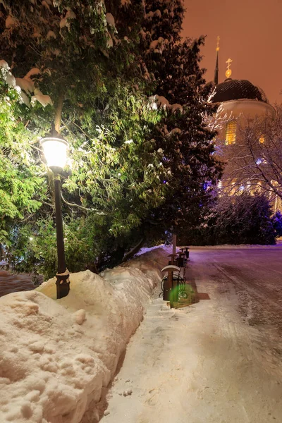 Winter park at night — Stock Photo, Image