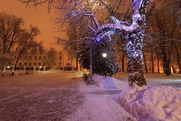 밤에 겨울 공원 — 스톡 사진