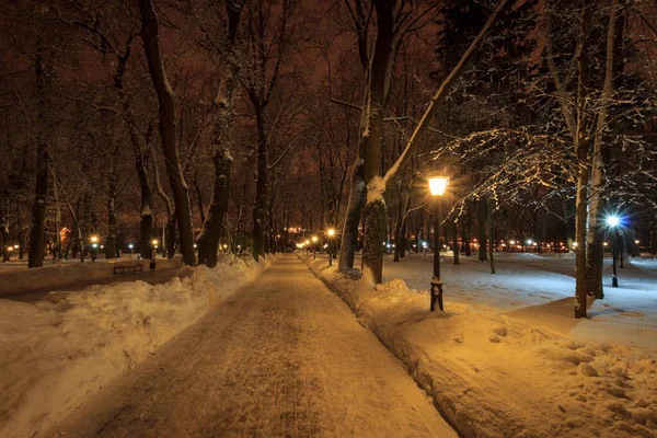 Winterpark bei Nacht — Stockfoto