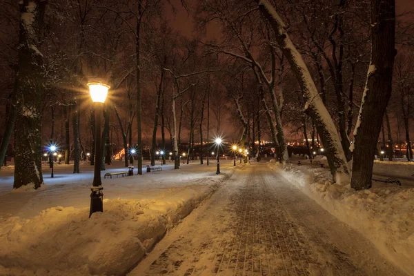 Zimní park v noci — Stock fotografie