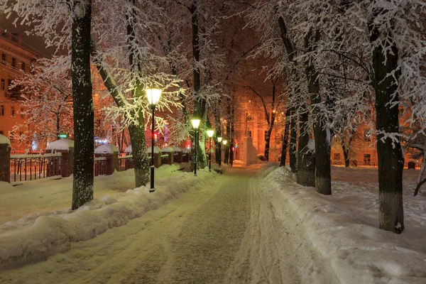 Parc d'hiver la nuit — Photo