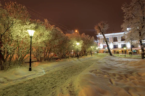 Зимовий парк вночі — стокове фото